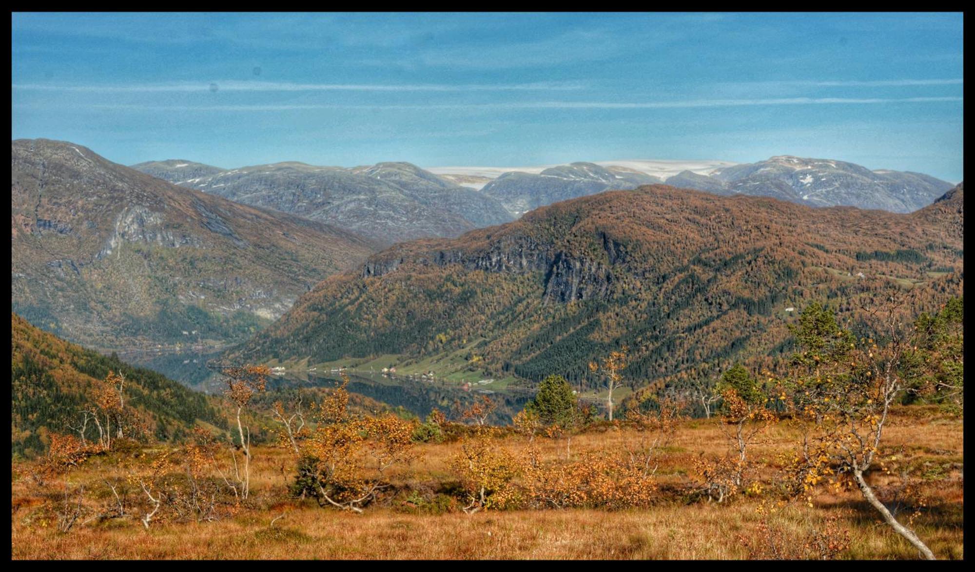 Tuftegarden Otel Viksdalen Dış mekan fotoğraf