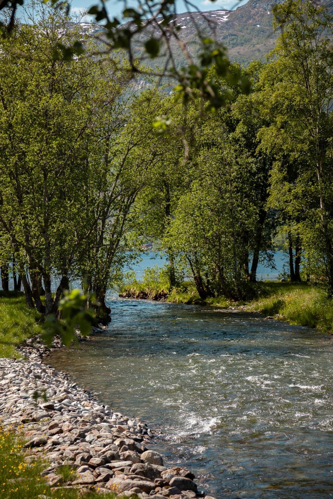 Tuftegarden Otel Viksdalen Dış mekan fotoğraf