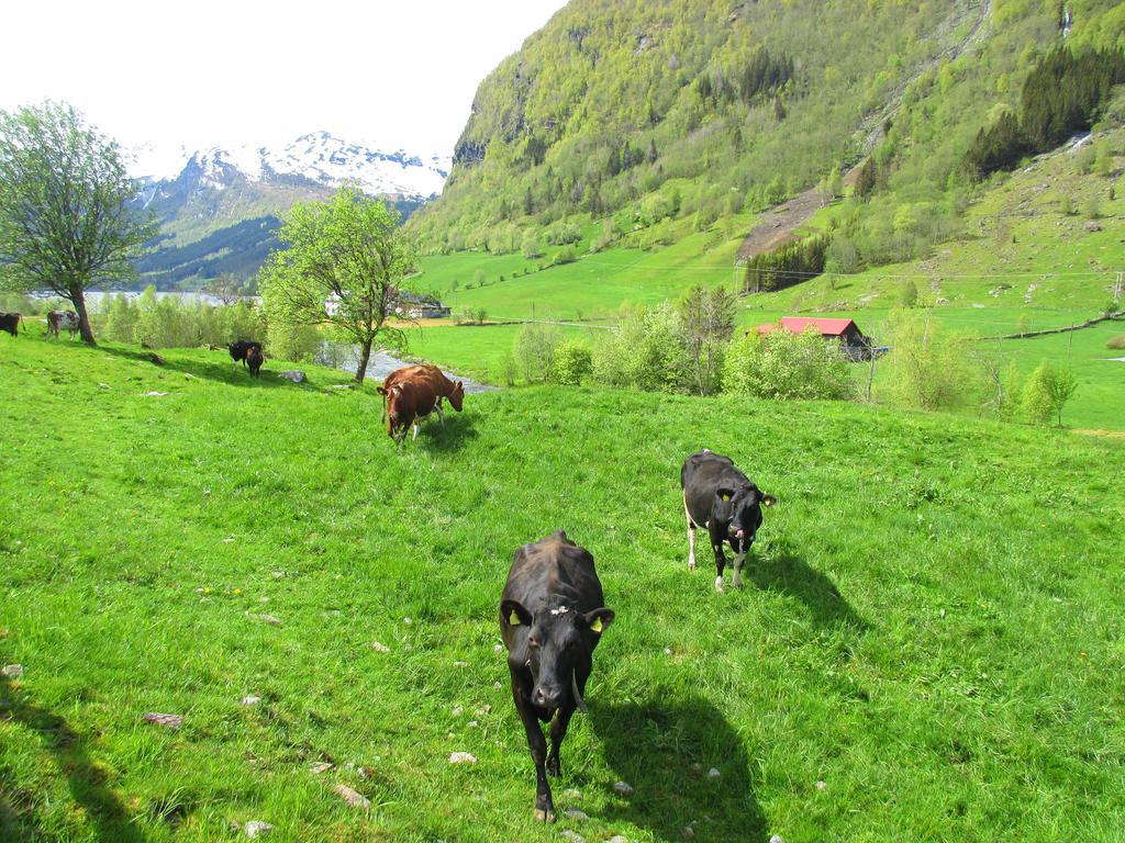 Tuftegarden Otel Viksdalen Dış mekan fotoğraf